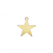 Gold Filled Star Charm 14.0mm 